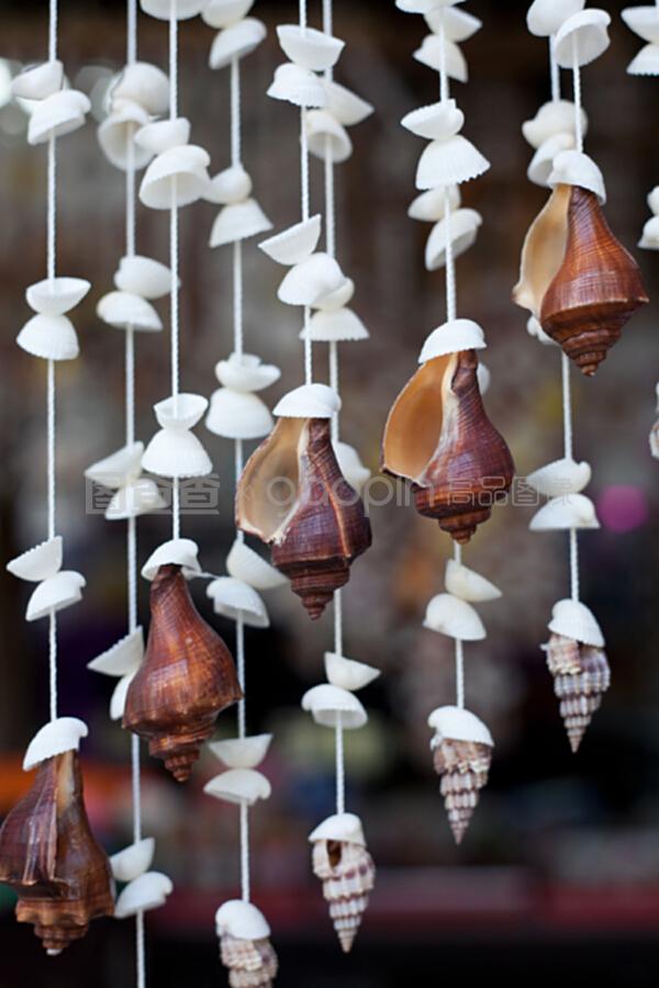 贝壳墙艺术 手工艺品中的海洋之韵
